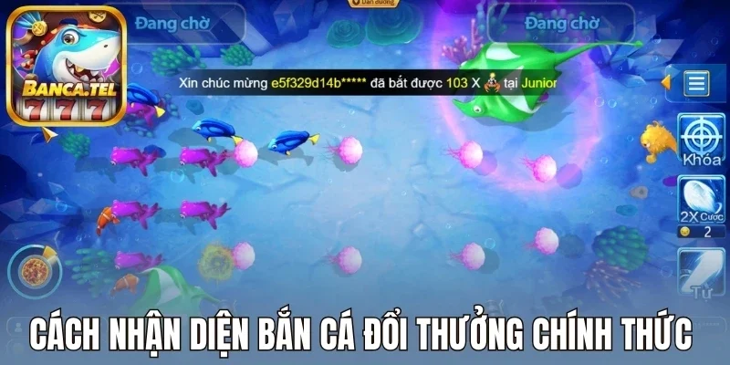 Cách nhận diện bắn cá đổi thưởng chính thức 