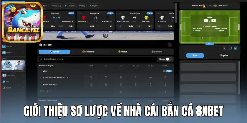 Giới thiệu sơ lược về nhà cái bắn cá 8XBET