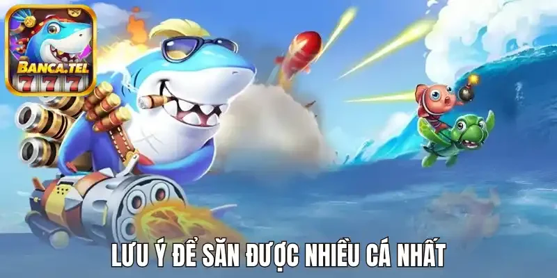 Lưu ý để săn được nhiều cá nhất
