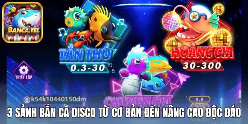3 sảnh bắn cá disco từ cơ bản đến nâng cao độc đáo