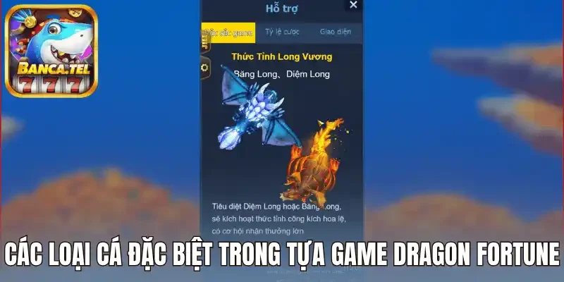 Các loại cá đặc biệt trong tựa game Dragon Fortune