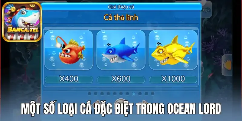 Một số kỹ năng được tích hợp trong Ocean Lord